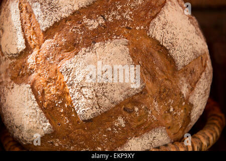 Freshly baked bread Stock Photo