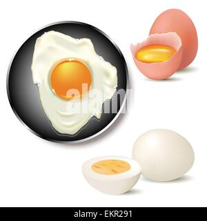 Broken, fried and boiled egg on white background. Vector illustration Stock Vector