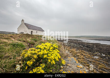 The tidal island of Cribinau and St Cwyfan's church, Anglesey, Gwynedd, North Wales, UK Stock Photo