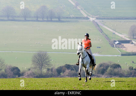 A young woman riding a white horse in countryside on Haye's Down in South Downs National Park. West Dean, West Sussex, England, UK, Britain Stock Photo