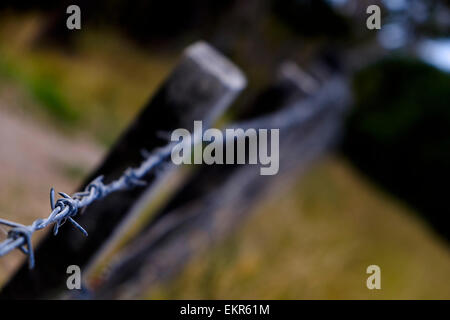Close up on barbed wire fence with menacing feel and mood. Stock Photo