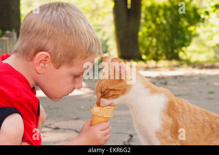 Child feeding cat his ice-cream cone Stock Photo