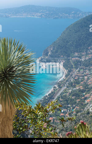 An elevated view down onto Eze-sur-Mer and the azure blue Mediterranean with a spiky palm in the foreground Stock Photo