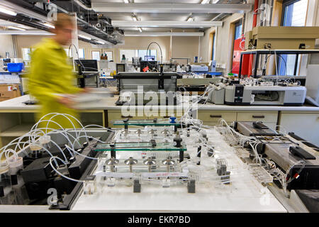 Analyst working on soil samples in agricultural analytical services laboratory Stock Photo