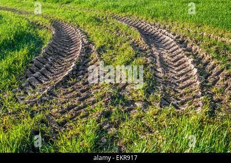 Tractor tyre tracks in muddy field - France. Stock Photo