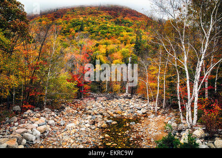 Low Angle View of a Mountain in Fog and a Dry Creek at Fall, White Mountains National Forest, New Hampshire Stock Photo