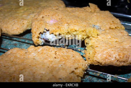 Easter cookies with mini chocolate eggs inside on a wire tray straight after baking. Stock Photo