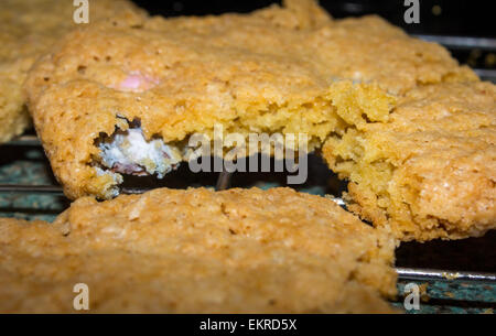 Easter cookies with mini chocolate eggs inside on a wire tray straight after baking. Stock Photo
