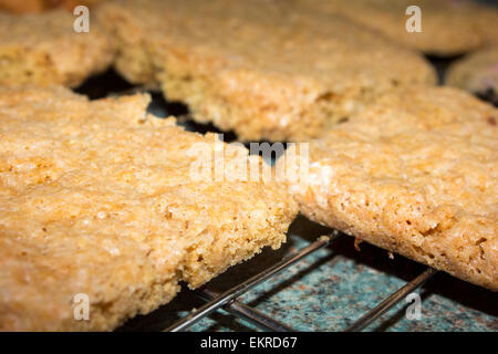 Easter cookies with mini chocolate eggs inside on a wire tray straight after baking. Stock Photo