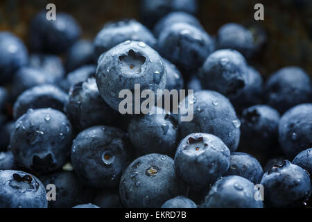 blueberries with water drops Stock Photo