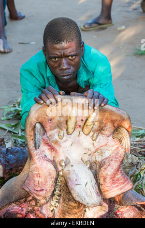 A Malawian man with a butchered Hippo near Chikwawa, Malawi. Stock Photo