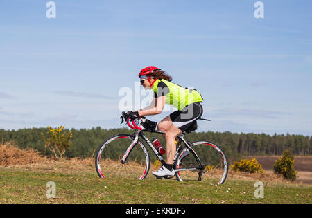 A female cyclist competes in the New Forest Wiggle Sportive event on a sunny Sunday in Spring Stock Photo