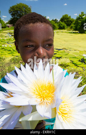 A girl picking Water lillies growing on marshland in the Shire valley near Bangula, Malawi, Africa. Stock Photo