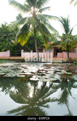 The Backwaters of Kumarakom, Kerala India Stock Photo