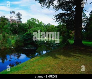 Fota Gardens, Fota Island, Co Cork, Ireland Stock Photo