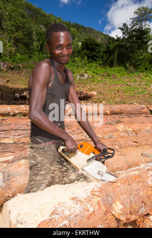 Malawi is one of the poorest countries in the world, it has been heavily deforested. The deforestation has been to clear land for an expanding population to have access to land to grow subsistence crops and also to make charcoal, which is the main cooking fuel in Malawi. This shot shows a logging camp on the Zomba Plateau. Stock Photo