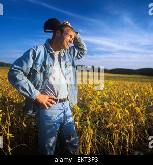 Agriculture - A farmer looks out across his maturing soybean crop, inspecting it Stock Photo