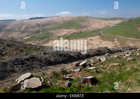 Deforestation in remote Welsh countryside near Llyn Brianne Ceredigion Mid Wales UK Stock Photo