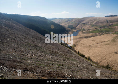 Deforestation in remote Welsh countryside near Llyn Brianne Ceredigion Mid Wales UK Stock Photo