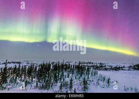February 20, 2015 - Aurora borealis from Churchill, Manitoba, Canada. This is looking north toward a curtain with pink upper col Stock Photo