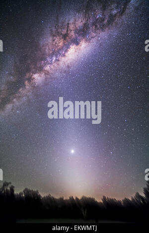 April 6, 2014 - Venus shining in the pre-dawn sky amid the morning zodiacal light below the Milky Way, then overhead, Coonabarab Stock Photo