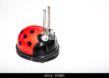 Ladybird shaped novelty pencil sharpener with spring antennas and googly eyes on a plain white/gray background. Stock Photo