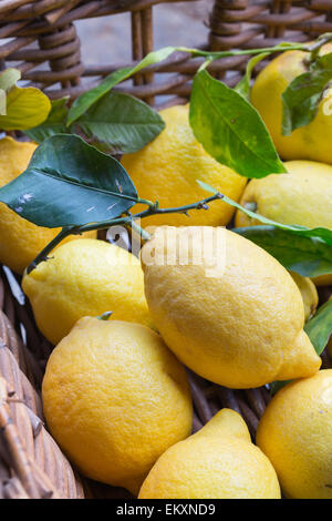 Fresh organic lemons with leaves Stock Photo