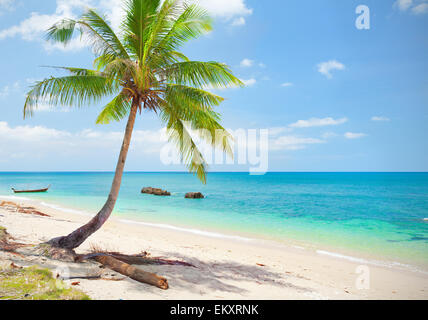 tropical beach with coconut palm. Koh Lanta, Thailand Stock Photo