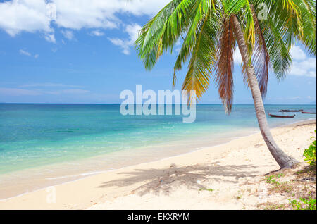 tropical beach with coconut palm. koh Lanta, Thailand Stock Photo