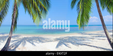 panoramic tropical beach with coconut palm Stock Photo - Alamy