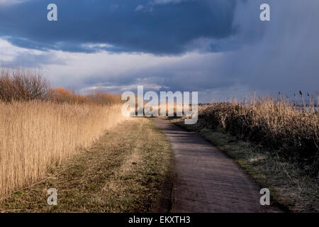 Storm in wetlands. Stock Photo