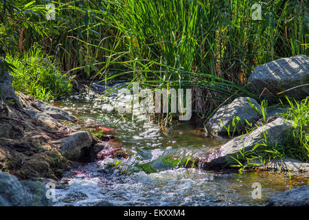 The Los Angeles River running through the Sepulveda Basin Recreation Area, Los Angeles, California, USA Stock Photo