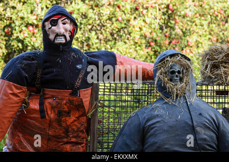Maine-style Halloween decorations: a pirate wearing a survival suit, and a skeleton in a grey hoodie. Stock Photo