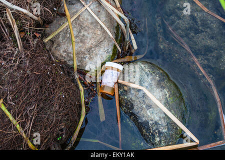 A discarded perscription bottle in the Los Angeles River after the first rain of the season, Glendale Narrows, Los Angeles, CA Stock Photo