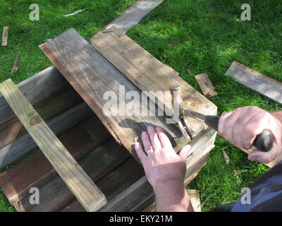 Making an owl box Stock Photo