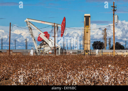 A pumpjack at oil well and fracking site situated in cotton field in Shafter. Kern County, California Stock Photo