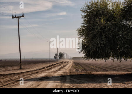 Fallow crop fields with dusty road. Cardella Winery, a family business since 1969, in Fresno County, California Stock Photo