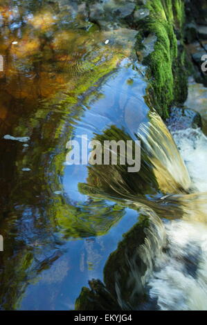 a clear multiclored stream flow over some rapids on a clear summers day the  River Pryddin  above  Sgwd Gwladys waterfall Stock Photo