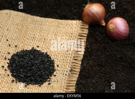 Onion seeds before planting in soil with jute Stock Photo