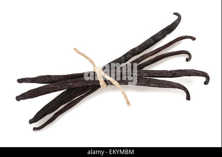 tied vanilla sticks isolated  on white background Stock Photo