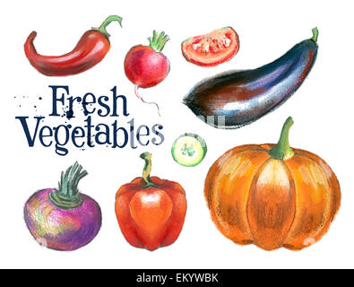 fresh vegetables vector logo design template. food or gardening icon. Stock Photo