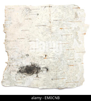 birch bark isolated on white background Stock Photo