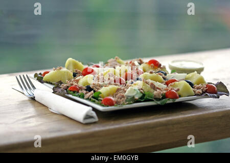 Salad Niçcoise Stock Photo