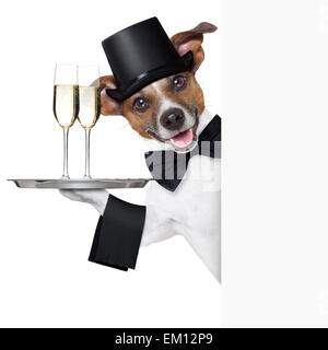 dog toasting Stock Photo