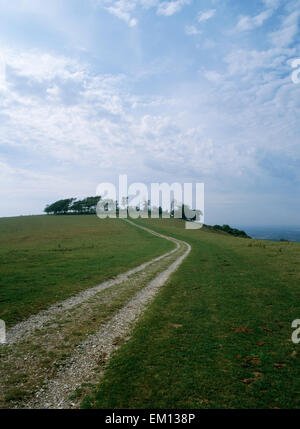 Looking NW along the South Downs Way to Chanctonbury Hillfort, West Sussex, marked by the remains of a famous beech clump planted in 1760. Stock Photo
