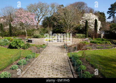 The Slave Gardens at Pinetum Park St Austell  Cornwall on a Spring Day with magnolia trees,sundial and wide pathways Stock Photo