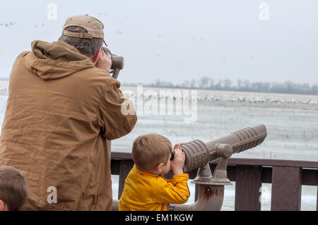 Man and boy look out telescope at birds Stock Photo