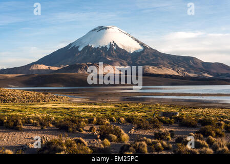 Snow capped Parinacota Volcano reflected in Lake Chungara, Chile Stock Photo