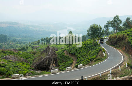 Winding road winding through the tea plantations in the hills of Munnar, Kerala India Stock Photo