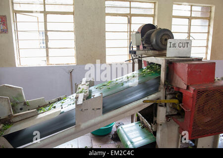 Inside the Kanan Devan Hills Plantations Company Tea Museum in Munnar, Kerala India Stock Photo